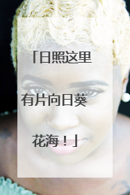 日照这里有片向日葵花海！